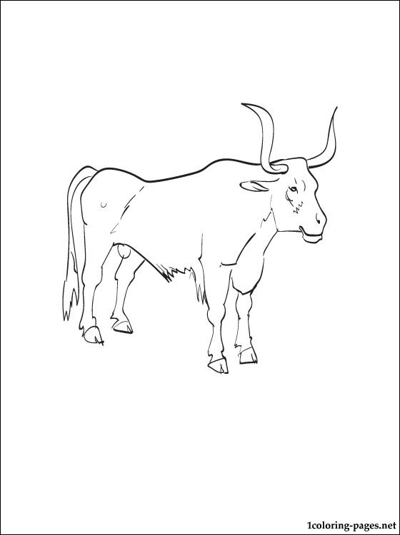 560x750 Oxen Printable And Coloring Page Coloring Pages