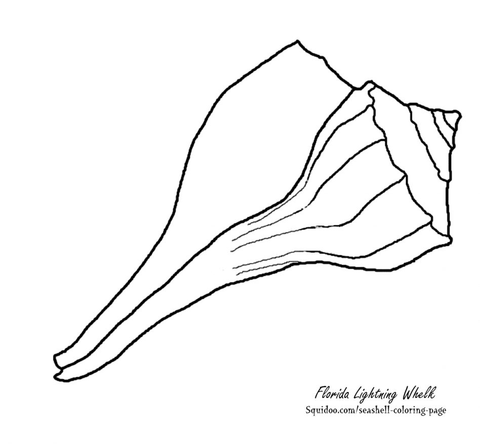 948x877 Oyster Drawing For Kids