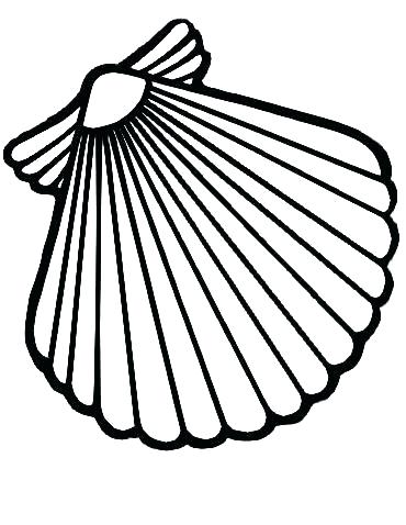 370x478 Seashell Coloring Page Sea Shells Coloring Pages Scallop Shell Net