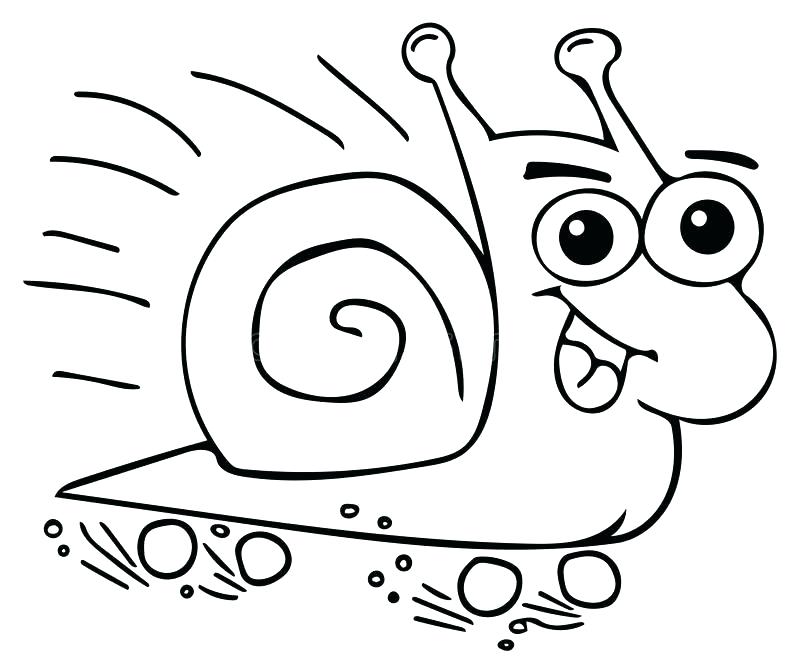 800x667 Shell Coloring Pages S S S Oyster Shell Coloring Pages