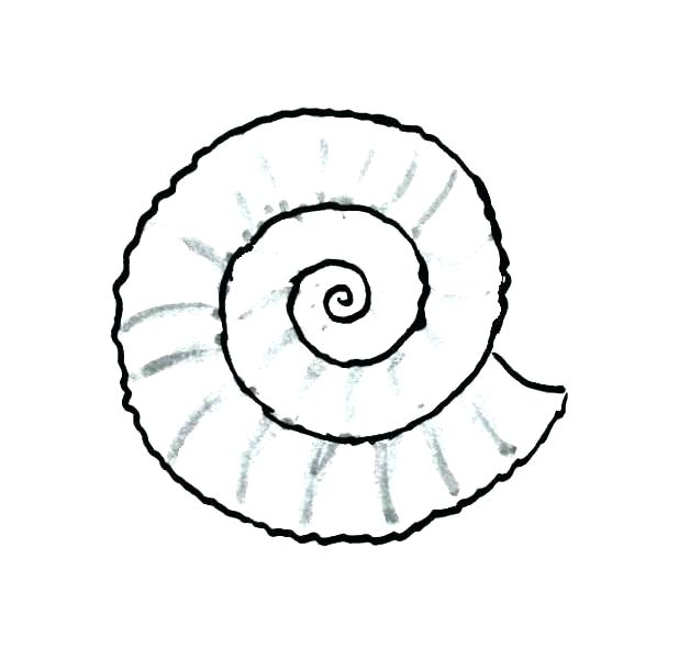 618x600 Coloring Clam Coloring Page Oyster Animal Pages Preview Open