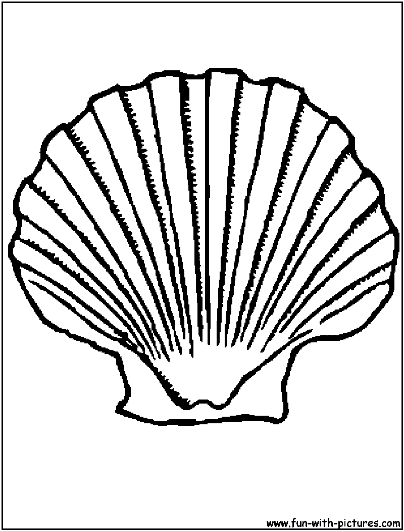 Oyster Shell Coloring Pages
