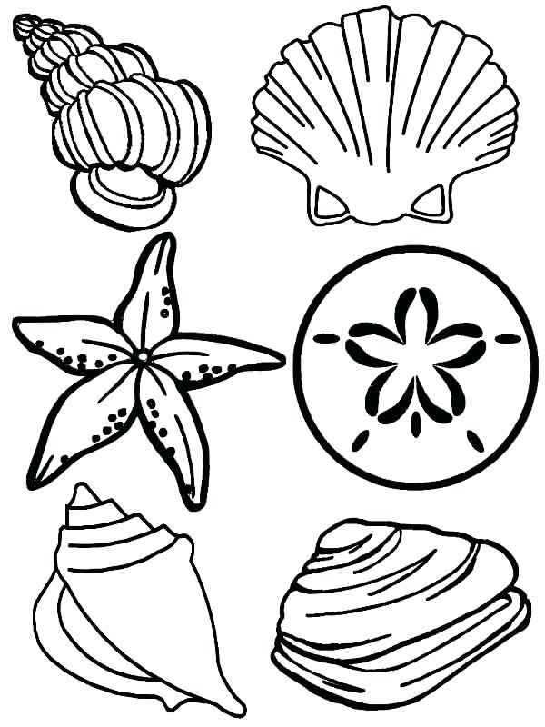 600x800 Oyster Animal Coloring Pages Oyster Printable And Coloring Page