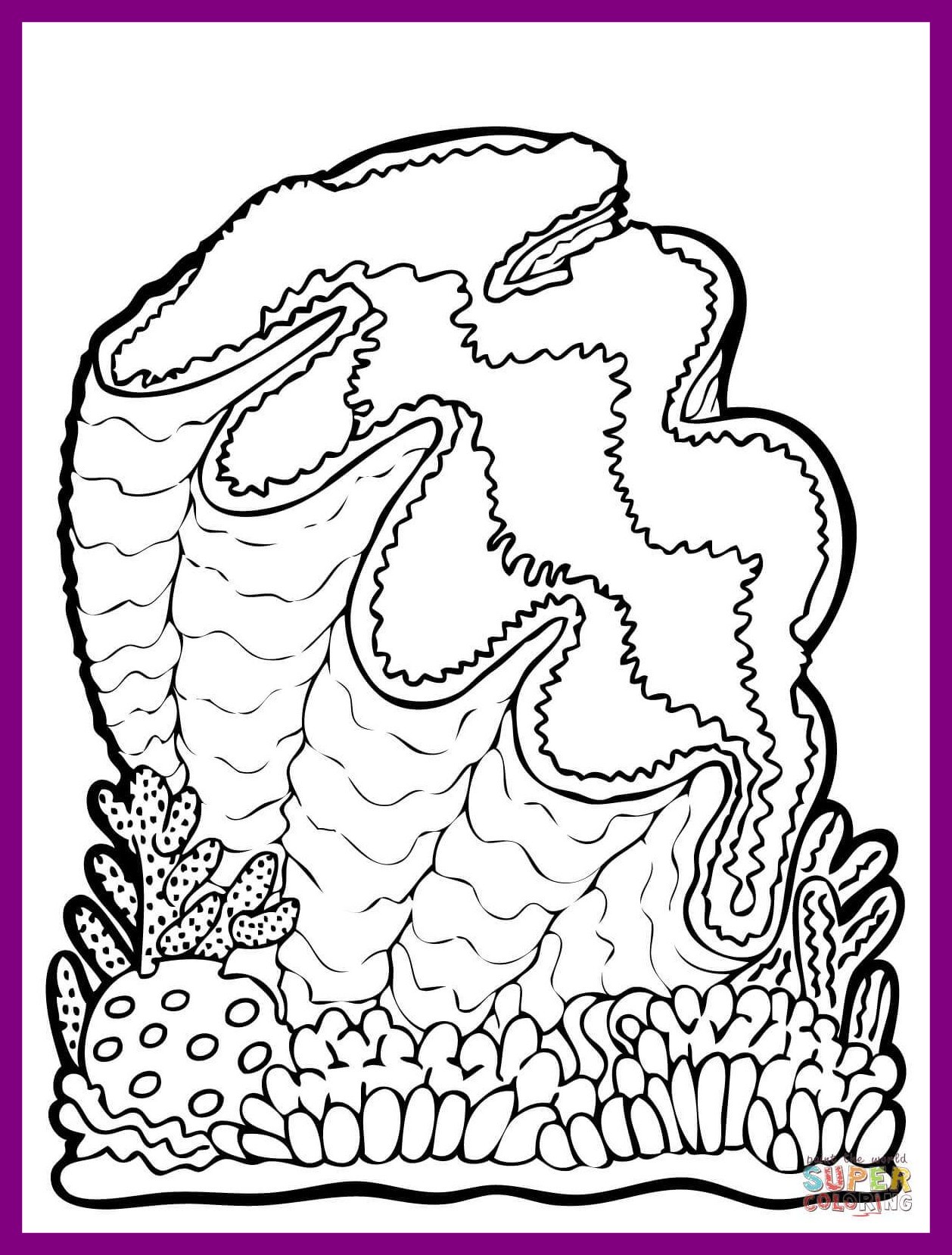 1258x1658 Appealing Giant Clam Coloring Page Printable Of Ideas And Style