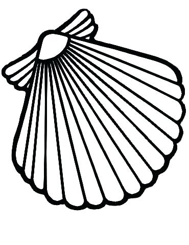 370x478 Sea Shells Coloring Pages Free Printable Sea Shells Coloring Pages