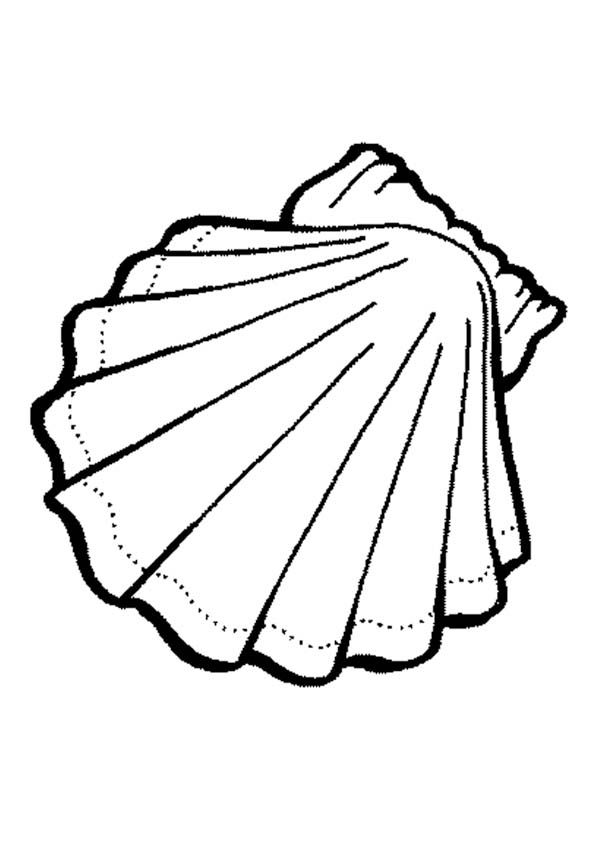 600x849 Shell Coloring Pages Coloring Pages Kids