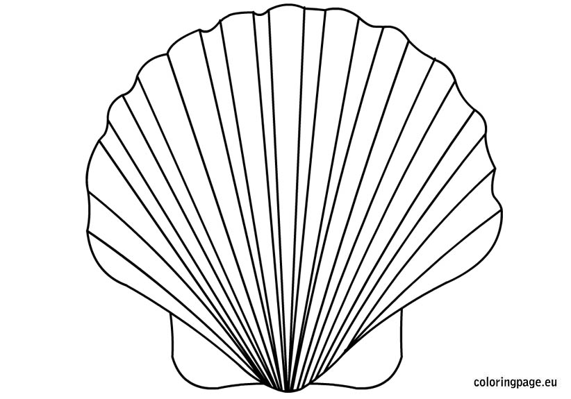 822x575 Shell Coloring Page