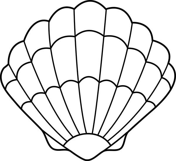 600x550 Seashell Drawing Lovely Zigzag Scallop Seashell Drawing Coloring