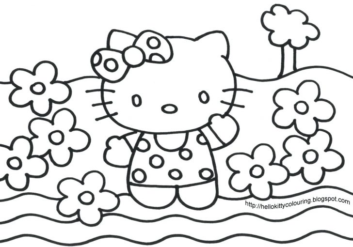 728x510 Princess Crown For Beauty Pageant Coloring Page Pages Adults