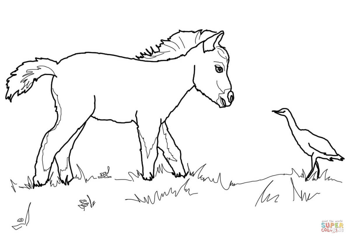 1200x820 Paint Horse Grazing Coloring Page Within 4