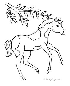 236x288 Squirrel Coloring Pages Pre K Activity Pagesalphabetabc
