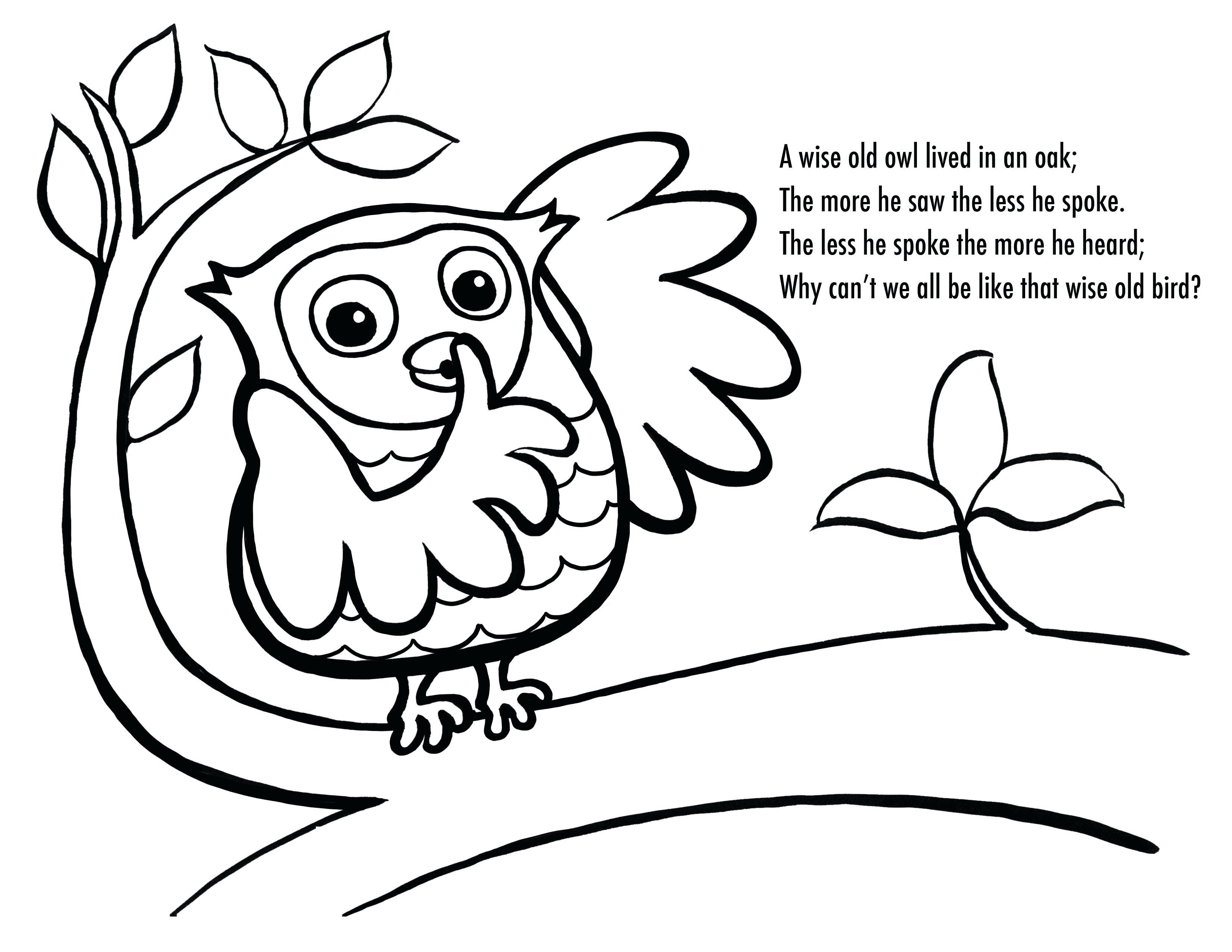 3300x2550 Paint Splatter Coloring Pages A Pot Of 3 Flower For Drawing How