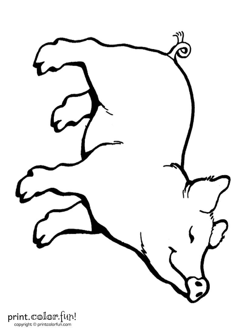 800x1100 Color Page Pig Make Coffee Ground Mud For Kids To Paint