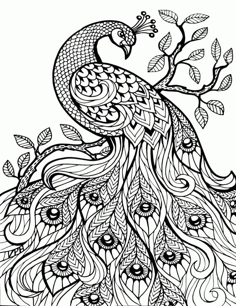 791x1024 Printable Adult Coloring Pages Paisley 10 H Stress Relief For 6