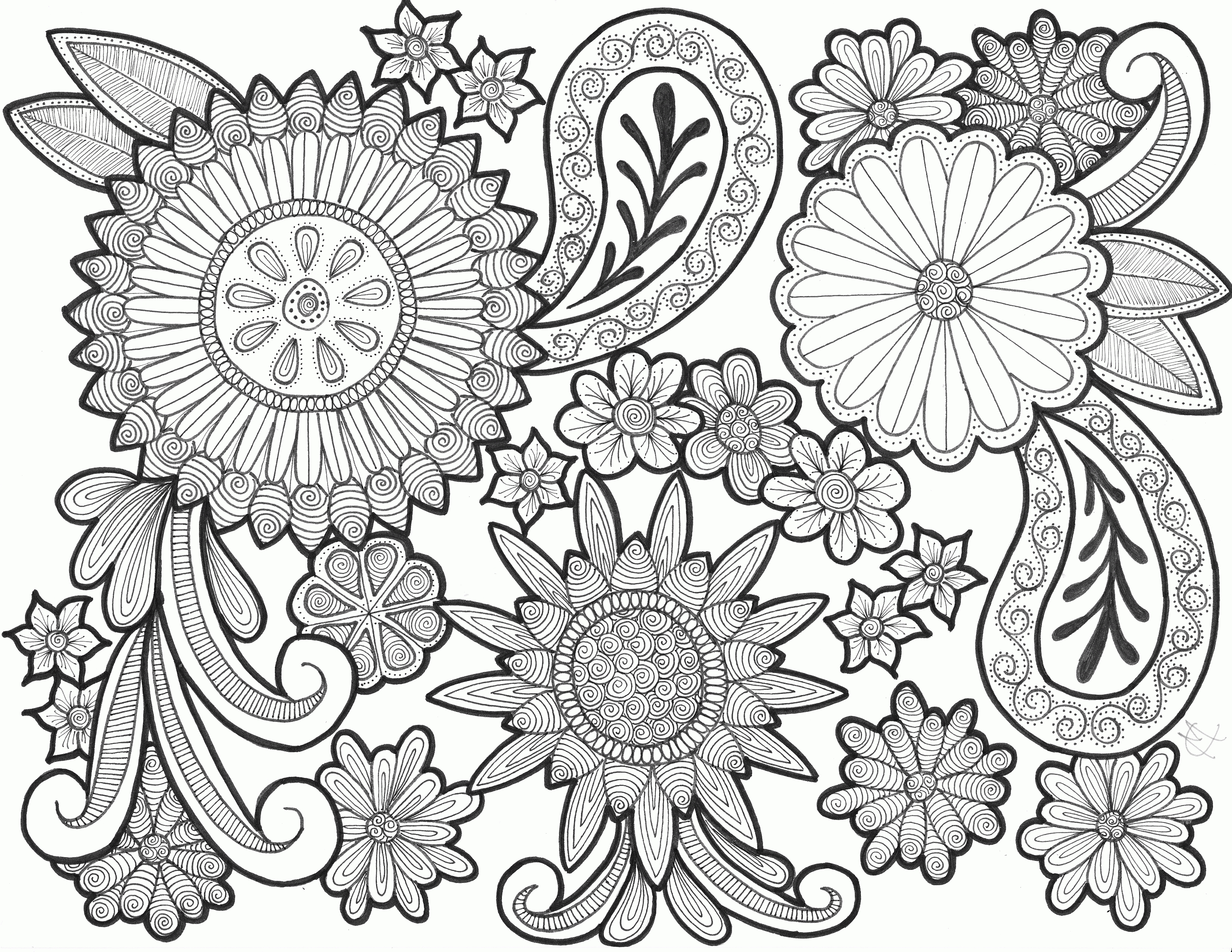 3299x2549 Paisley Coloring Pages