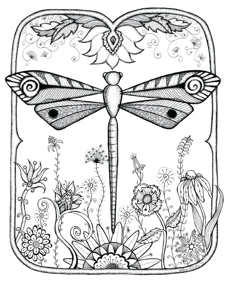 736x918 Dragonfly Pictures To Color Plus Dragonfly Garden Abstract Doodle