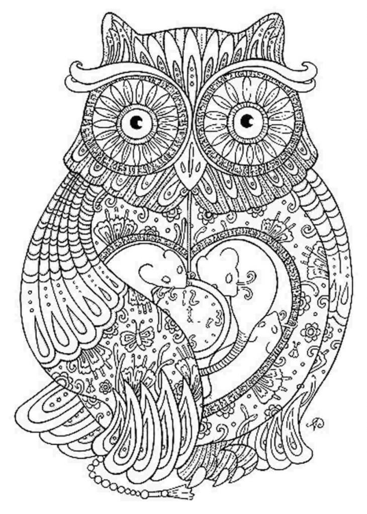 730x1024 Printable Paisley Owl Coloring Pages For Adults To Print