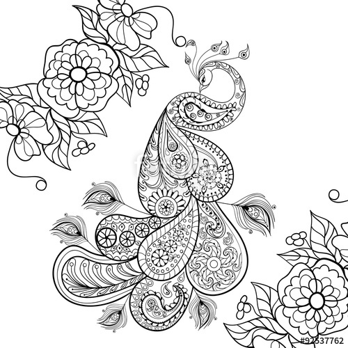 500x500 Paisley Peacock Coloring Pages