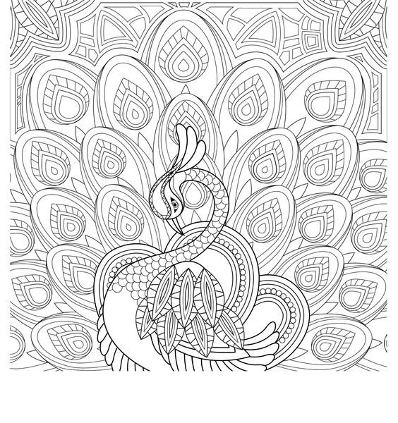 564x600 Peacock Coloring Pages For Adults Coloring Pages Coloring Pages