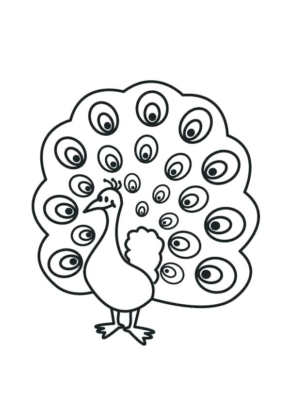 600x847 Coloring Page Peacock