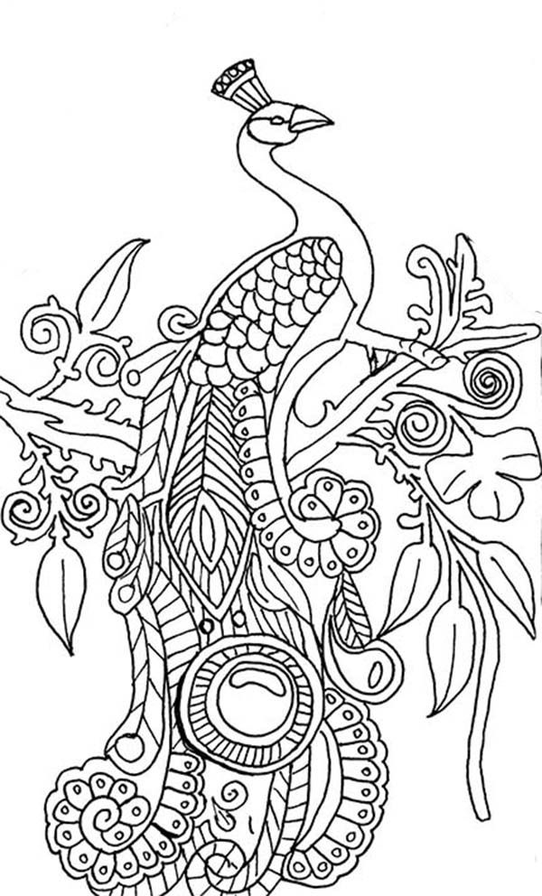 600x992 Printable Adult Coloring Pages Paisley