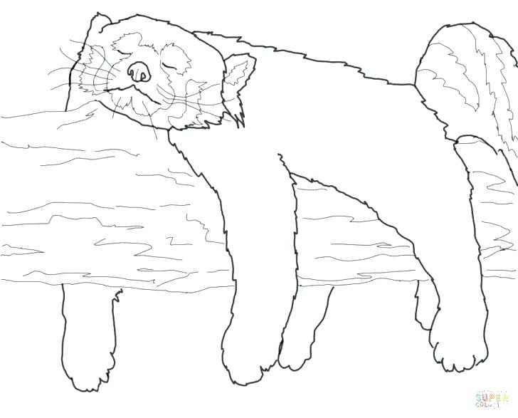 728x587 Red Panda Coloring Pages Pajama Coloring Sheets Outstanding