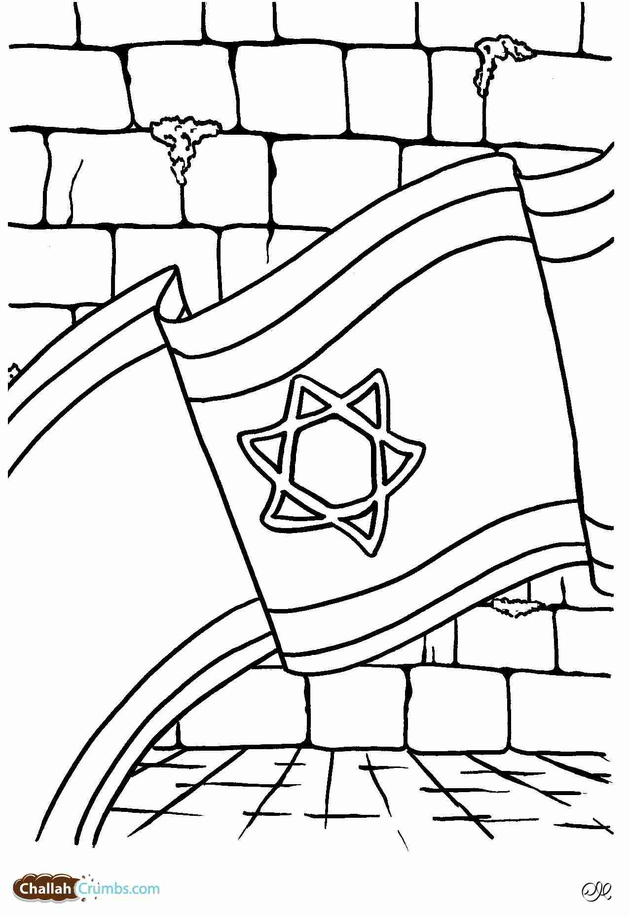1275x1856 Flag Of Pakistan Coloring Page Free Printable Pages Unusual Israel