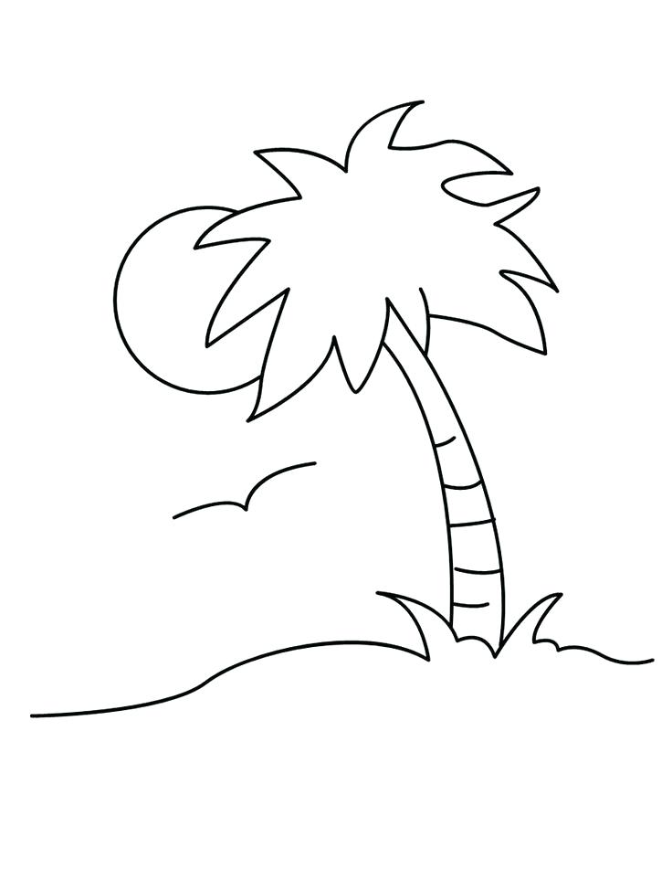 736x951 Palm Tree Coloring Page Palm Tree Coloring Page Palm Tree Coloring