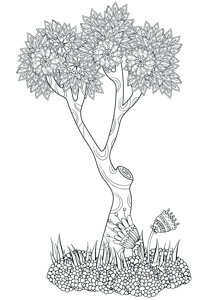 736x1041 Palm Tree Coloring Pages Tree Coloring Pages Palm Tree Coloring