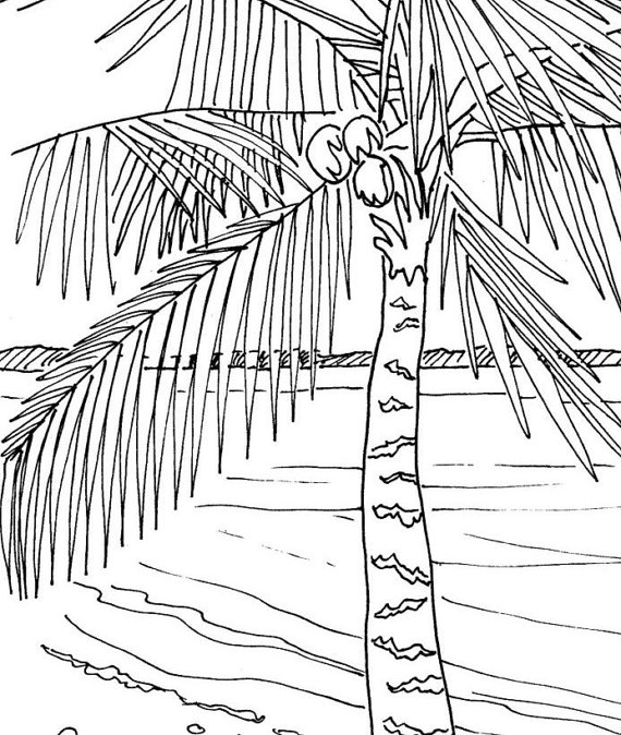 570x674 Palm Tree Coloring Page Embroidery Pattern Pdf Download