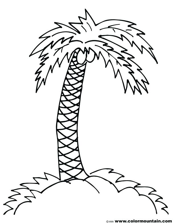 618x788 Excellent Extraordinary Tree Branch Coloring Page Fee Kids