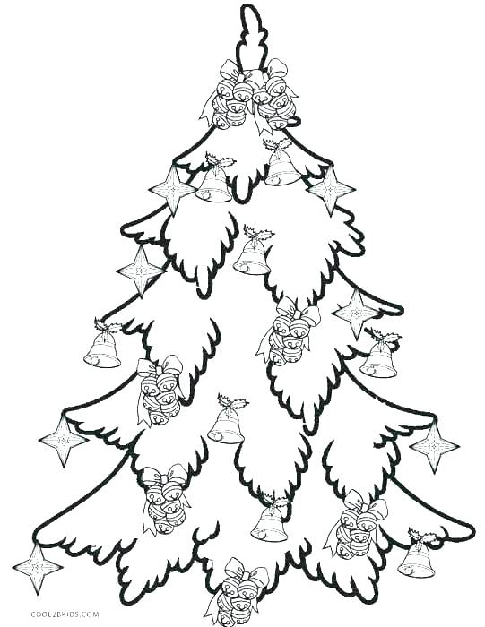 541x700 Palm Branch Coloring Page