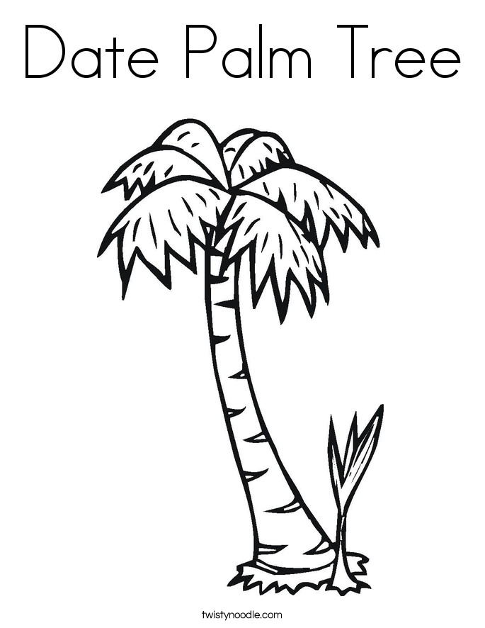 685x886 Date Palm Tree Coloring Page