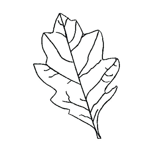 618x618 Images Of Printable Fall Template Fall Leaves Templates Printable