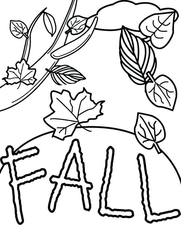 600x760 Palm Leaf Template Printable