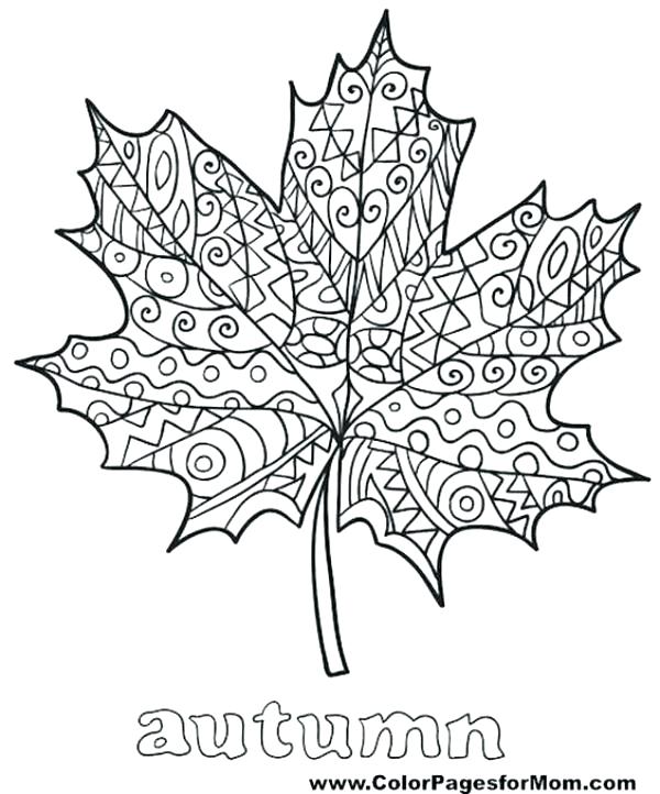 600x722 Coloring Page Of Leaves Leaf Coloring Pages Coloring Pages Fall