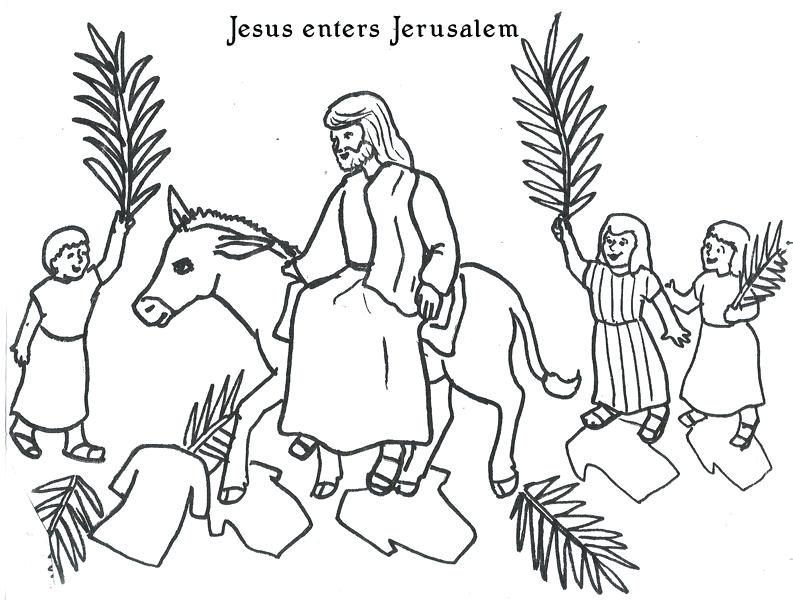 793x600 Palm Sunday Coloring Page Palm Coloring Pages 3 Palm Sunday