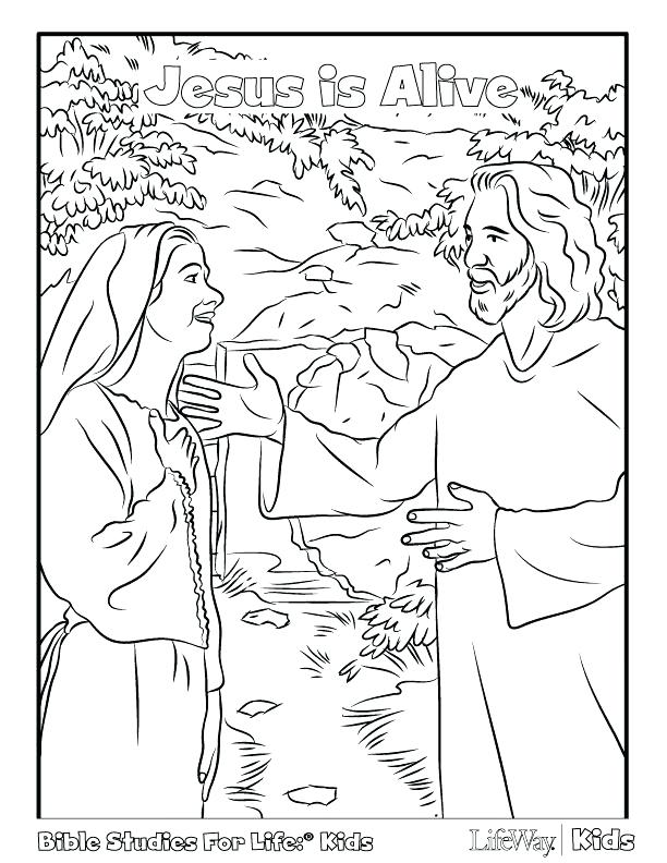 612x792 Palm Sunday Coloring Pages Free Entry Into In Palm Coloring Page