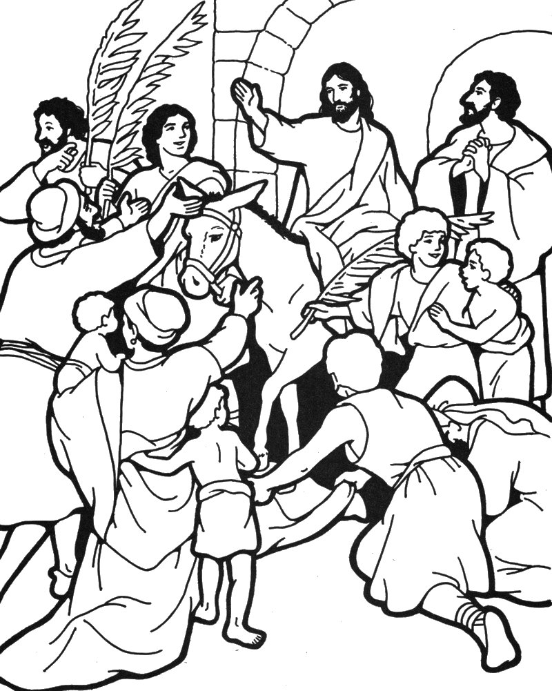 800x1001 Focus Triumphal Entry Coloring Page Palm Sunda