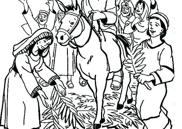 600x425 Idea Palm Coloring Pages And X X X A A Previous Image Idea Palm