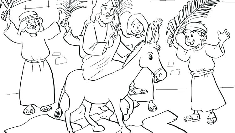 750x425 Ideal Palm Coloring Page Kids Pages Printable Image Ideal Palm