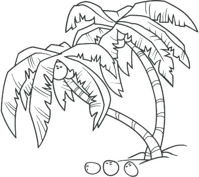 Palm Tree Coloring Pages
