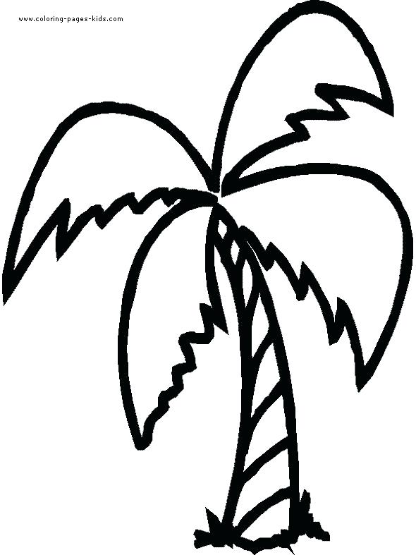 590x787 Palm Tree Coloring Page Palm Tree Clip Sabal Palm Tree Coloring