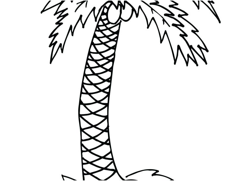 827x609 Palm Tree Coloring Pages Drawn Palm Tree Coloring Page Free Palm