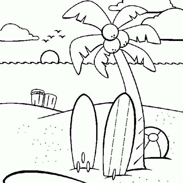 600x600 Palm Tree Coloring Pages Fancy Palm Tree Coloring Page 77 On Fee
