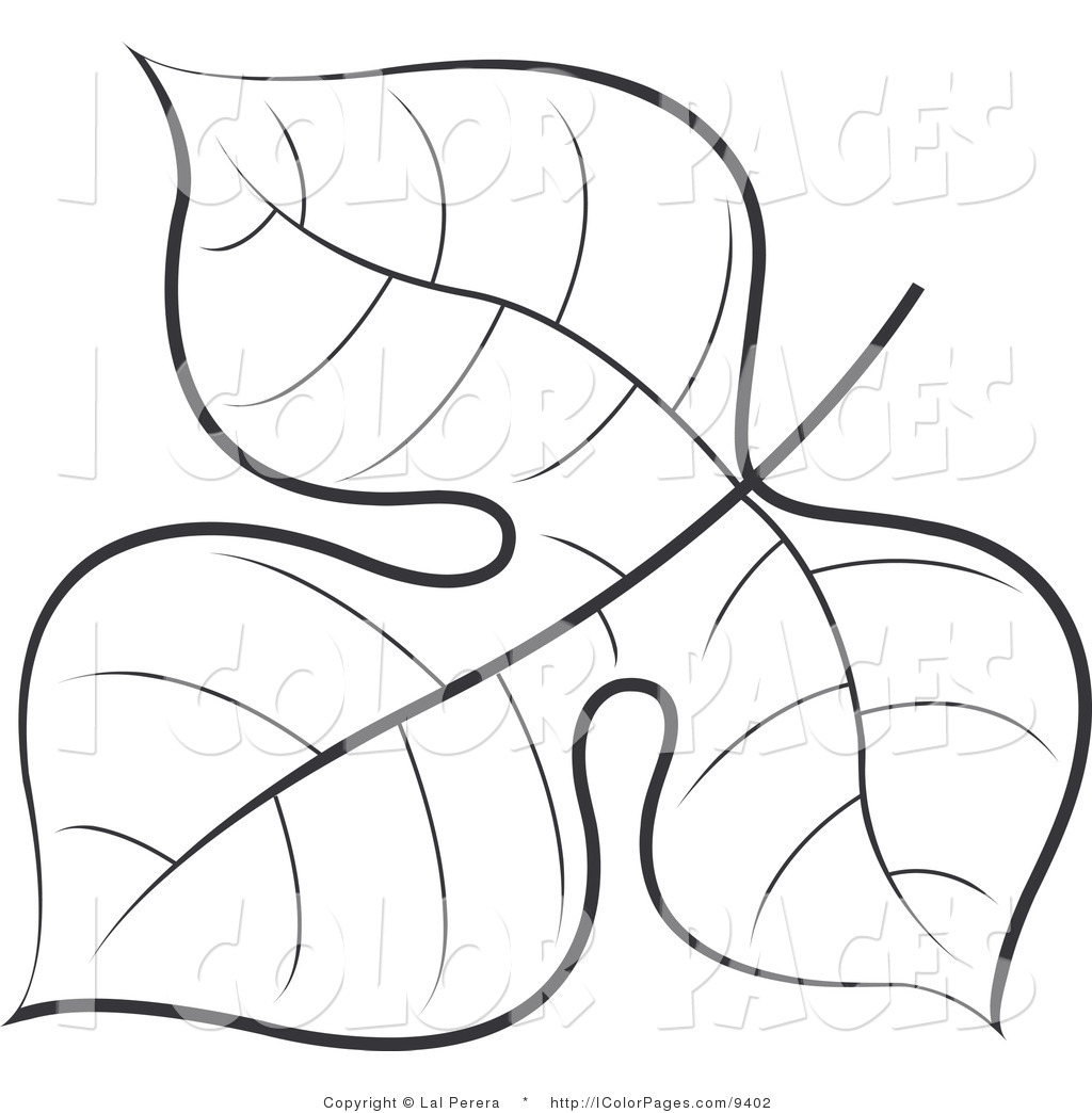 1024x1044 Palm Fronds Coloring Pages