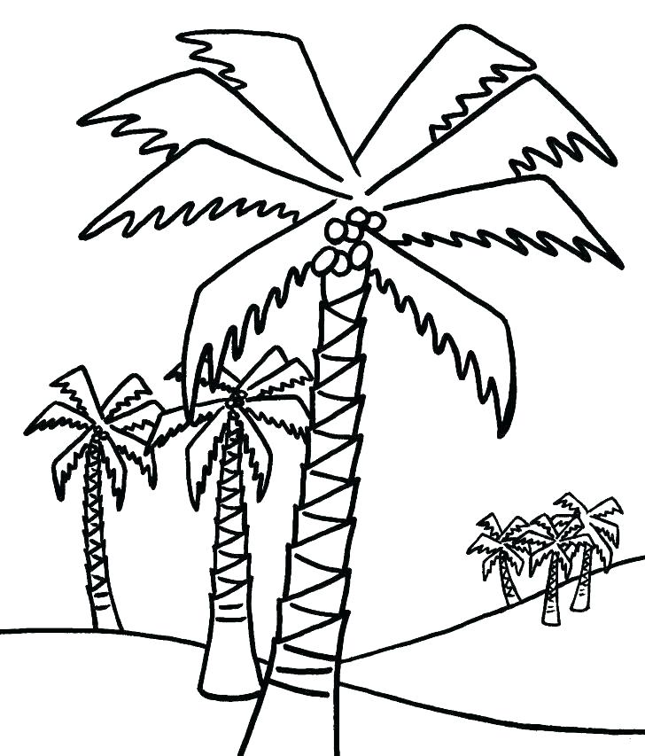728x853 Bare Tree Branches Coloring Page Coloring Pages Of Trees Coloring