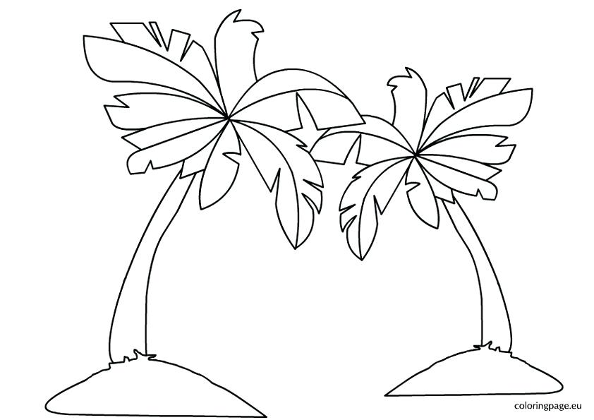 842x595 Palm Tree Coloring Page Palm Tree Coloring Pages Palm Tree