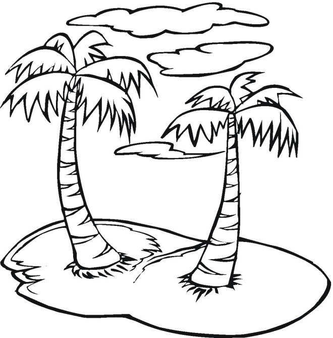 660x669 Palm Tree Coloring Pages 0