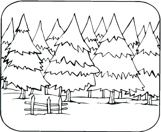 639x525 Palm Trees Coloring Pages Coloring Pages For Trees Trees Coloring